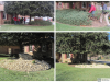 Shrub Removal and Rock Bed Installation