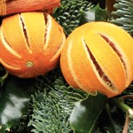 header-wreath-oranges.jpg