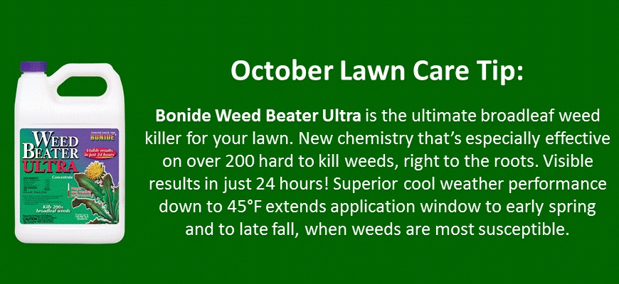 october lawn care tip