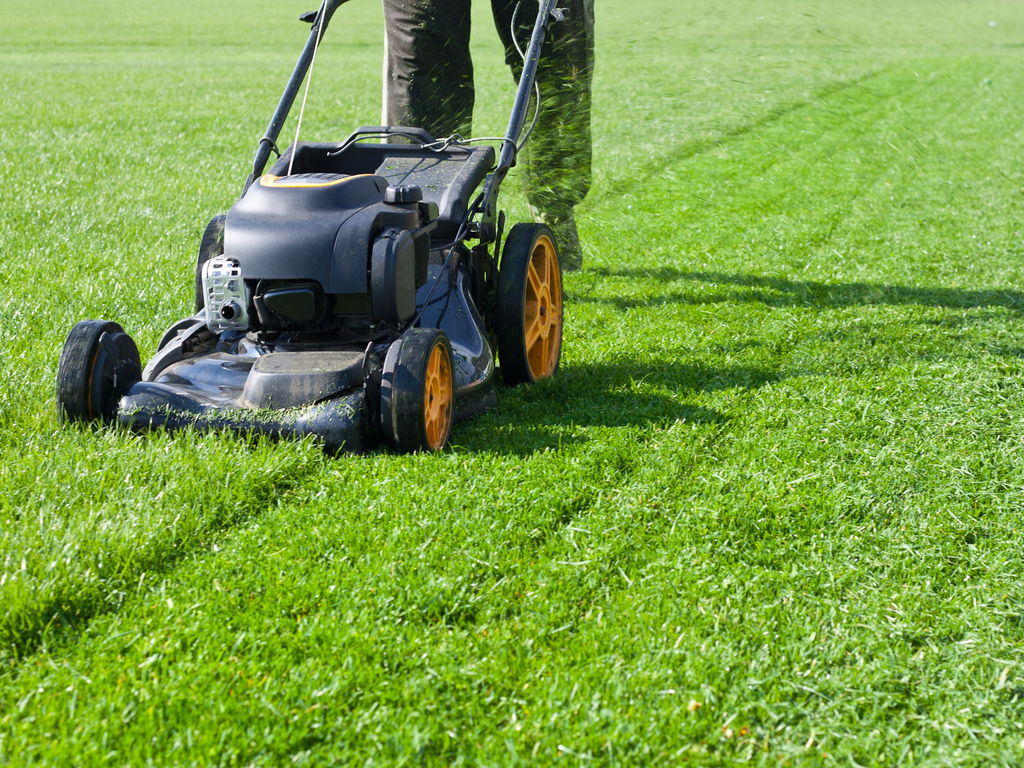 KMGC Lawn with mower