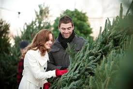 Christmas Tree Shopping